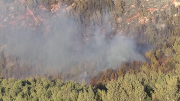 Avion de lutte contre les incendies pulvérisant un extincteur sur une forêt en feu, Mont Carmel, Israël 