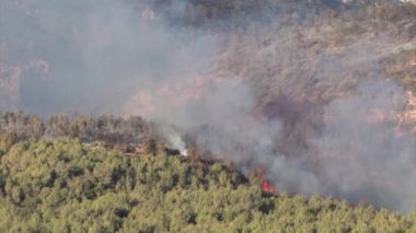 Orman içinde Mount Carmel, İsrail savaş uçak uçan düşük yangın