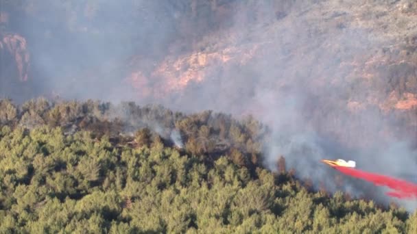 Löschflugzeug Sprüht Feuerlöscher Auf Brennenden Wald Mount Carmel Island — Stockvideo