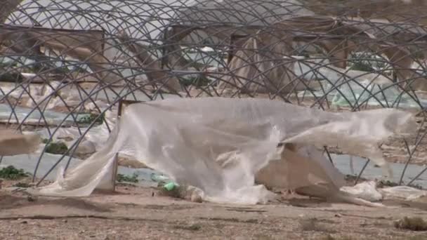 Vue Rapprochée Des Serres Déchirées Rive Mer Morte Israël — Video