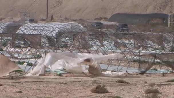 Vue Des Serres Déchirées Mer Morte Israël — Video