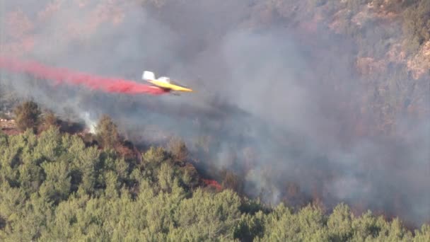 Fire Fighting Plane Spraying Fire Extinguisher Burning Forest Mount Carmel — Stock Video