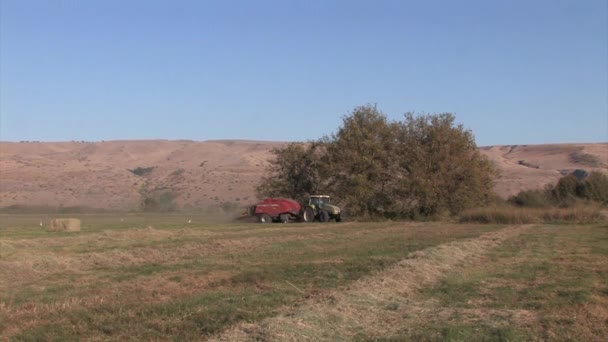 Tractor Haciendo Fardos Heno Valle Del Hula Israel — Vídeos de Stock