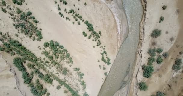 Dead Sea Srail Için Ürdün Nehri Ağız Üstten Görünüm — Stok video