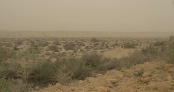 Doğal Görünümünü Çöl Kum Fırtınası Negev Çölü Srail — Stok video