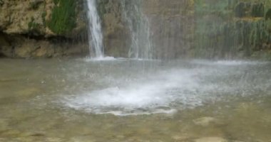 Şelale ein gedi, İsrail Çölü'nde doğal görünümü