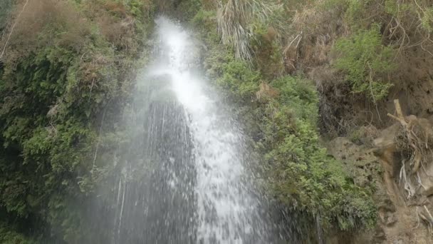 Malowniczy Widok Wodospad Pustyni Ein Gedi Izrael — Wideo stockowe