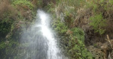 Şelale ein gedi, İsrail Çölü'nde doğal görünümü