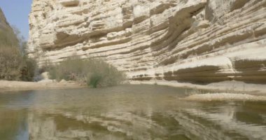Su havuzu Çölü Ein Avdat, Negev, İsrail'in doğal görünümü