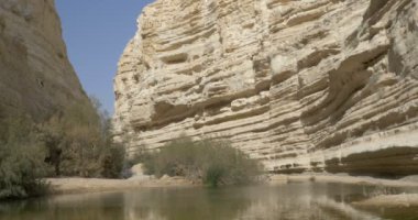 Su havuzu Çölü Ein Avdat, Negev, İsrail'in doğal görünümü