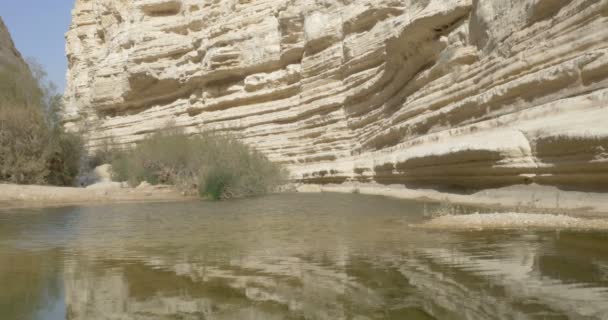 Scenic View Water Pool Desert Ein Avdat Negev Israel — Stock Video