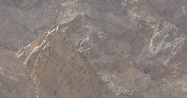 Pemandangan Burung Pemangsa Bermigrasi Melalui Pegunungan Eilat Israel — Stok Video