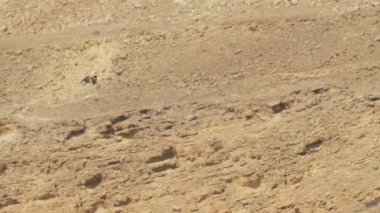 Eilat dağlar, İsrail üzerinde uçan sorguç