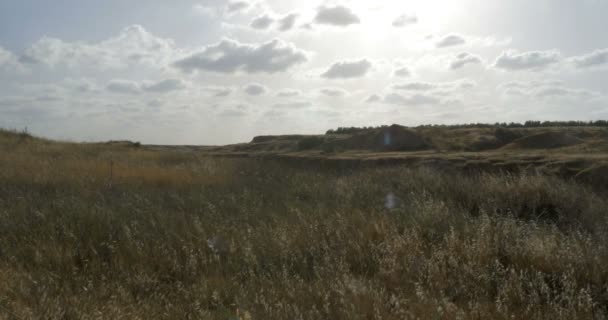 Vue panoramique des champs de blé après la récolte, Néguev occidental, Israël 