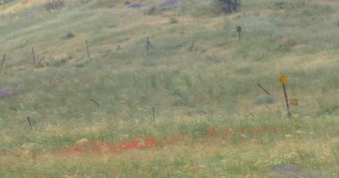 Benim İsrail Golan Tepeleri alanları