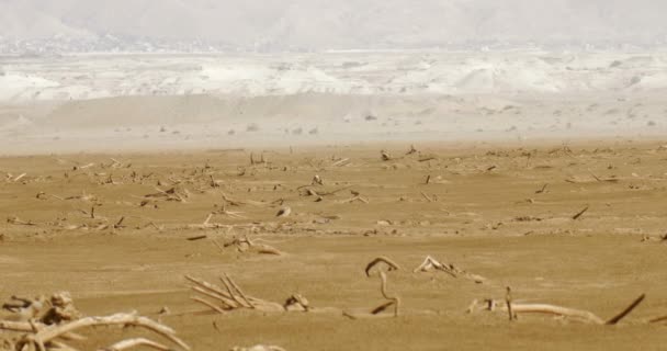 Sich Zurückziehende Küste Des Toten Meeres Island — Stockvideo