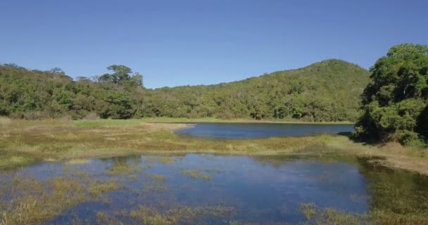 Schilderachtig Uitzicht Lake Regenwoud Panama — Stockvideo