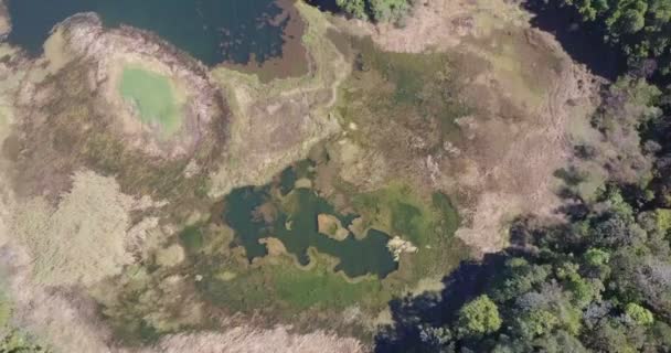 Schilderachtig Uitzicht Lake Regenwoud Panama — Stockvideo