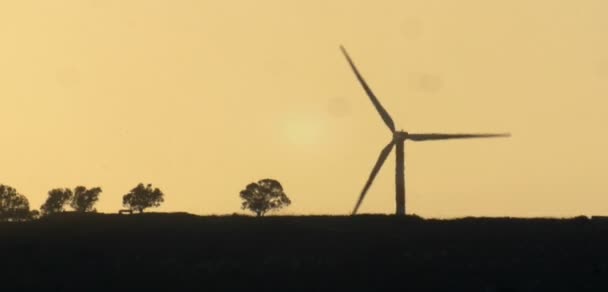 Silhueta Turbina Eólica Ramat Zirin Jordan Valley Israel — Vídeo de Stock