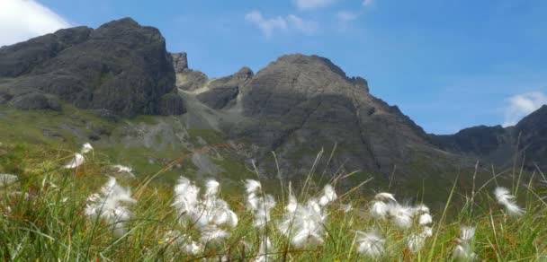 Malerischer Blick Auf Almwiesen Bla Bheinn Insel Skye Schottland — Stockvideo