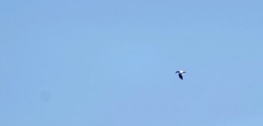 Gannet Loch, Isle of Skye, İskoçya üzerinde uçan doğal görünümünü
