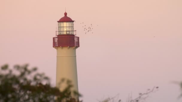 Piękny Widok Latarni Morskiej Cape May Zachodzie Słońca Cape May — Wideo stockowe