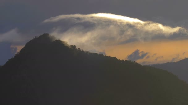 Vista Panorámica Del Bosque Nuboso Envuelto Nubes Volcan Baru Panamá — Vídeo de stock