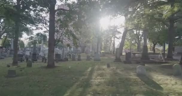 Scenic View Old Trinity Church Cemetery Harlem New York — Stock Video