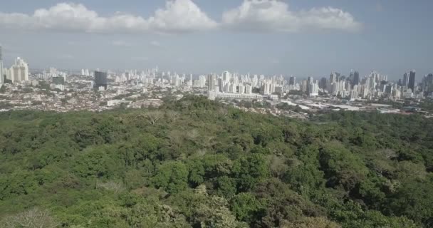 Αεροφωτογραφία Του Στον Ορίζοντα Και Μετρό Πάρκο Πόλη Του Παναμά — Αρχείο Βίντεο