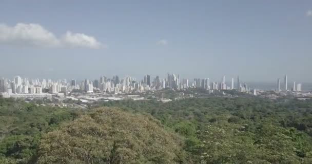 Luftaufnahme Von Panama City Skyline Und Metro Park Panama — Stockvideo