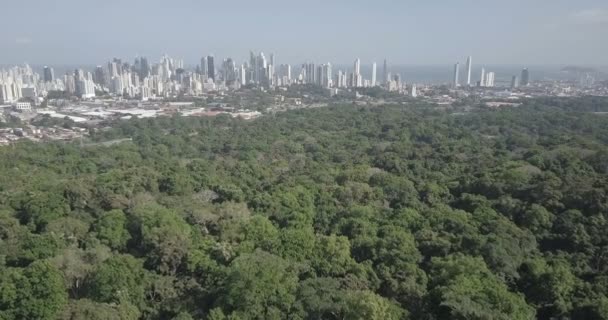 Vista Aérea Del Skyline Ciudad Panamá Del Parque Del Metro — Vídeo de stock