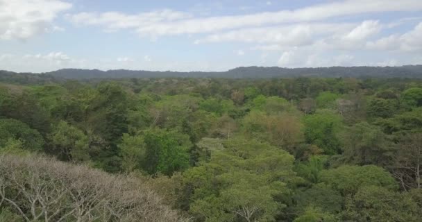 Panoramautsikt Över Gröna Skogen Nära Panamakanalen — Stockvideo