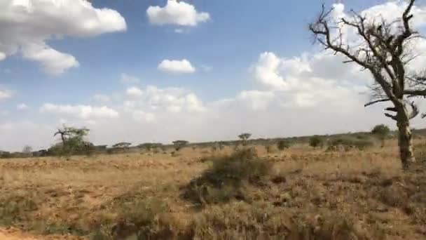 Parque Nacional Serengeti Tanzânia — Vídeo de Stock