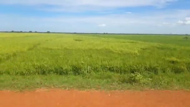 乌干达村庄驾驶汽车的日光拍摄 — 图库视频影像