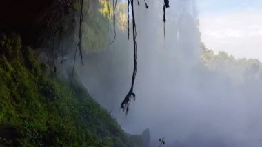 Kelime Falls Uganda, Afrika doğal görünümü