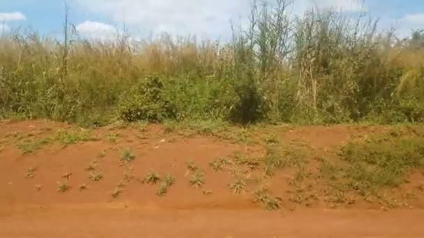 Disparo Conducción Personas Que Llevan Bolsas Camino Uganda — Vídeo de stock