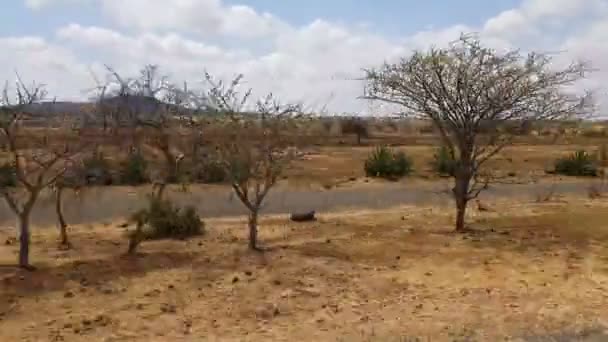 Blick Auf Trockene Landschaft Unter Blauem Bewölkten Himmel Tansania — Stockvideo