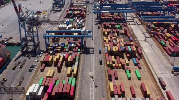 Aerial View Rows Shipping Containers Trucks Loading Ashdod Harbor Drone — Stock Video