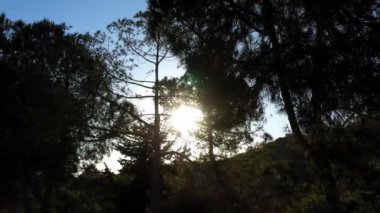 Güneş batarken ağaçların arkasında mercek ışıkları ile drone görüntüsü