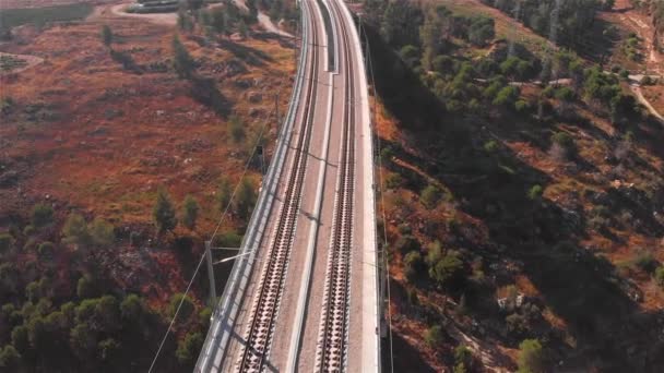 Grande Ponte Ferroviario Dall Alto Verso Basso Veduta Aerea Filmati — Video Stock