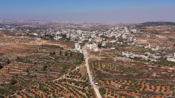 Filistin Köyü Zeytin Koruluğu Aerialaerial Manzaralı Beyt Surik Kudüs Ağustos — Stok video