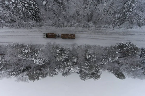 Kışın, nakliye için-endüstriyel ahşap orman ağaçları ile çevrili bir yol havadan görünümü