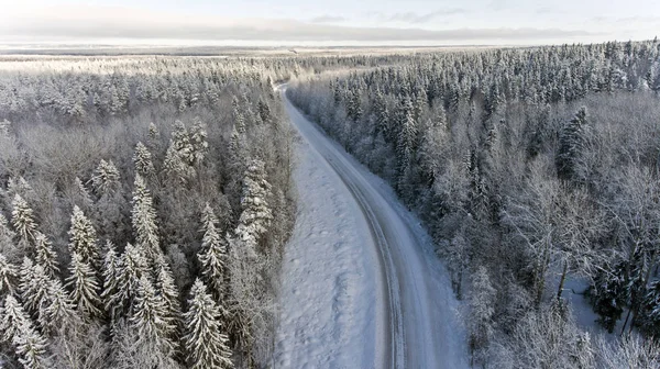Kışın karlı bir orman yoluyla yol