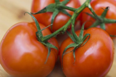 dört kırmızı domates dal