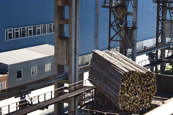 İnşaat vinç Kaldırma büyük yük odun