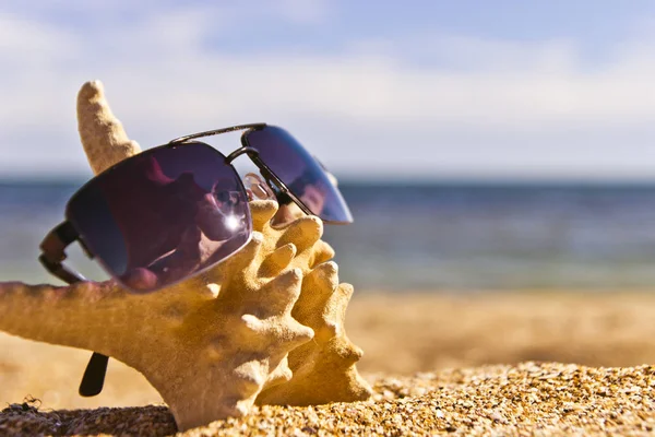 Deniz yıldızı güneş gözlüğü sahilde