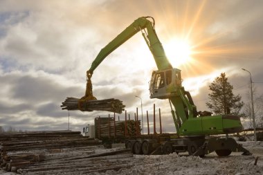 Ulaşım için endüstriyel odun yükleniyor. Wood römork ile işleme. Endüstriyel makine geçen güneş ışınları.