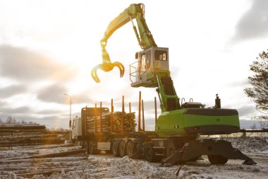 Endüstriyel ahşap ormandan getirdi boşaltma güneş ışınlarının çizer. Wood römork ile işleme.