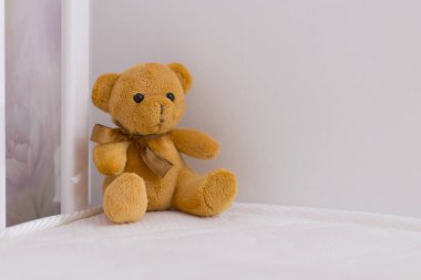 Beyaz beşikte bir yumuşak oyuncak ayı.