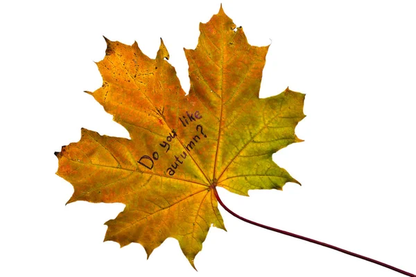 Beyaz arka plan üzerinde izole yazıt 